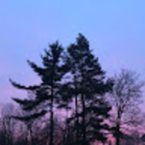 Meet your Posher, Madeleine